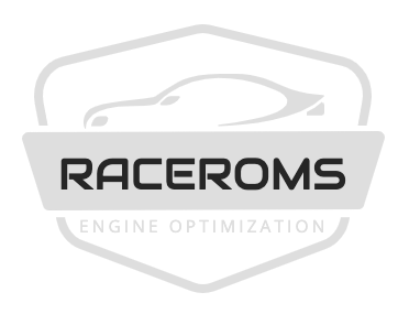 Raceroms Logo